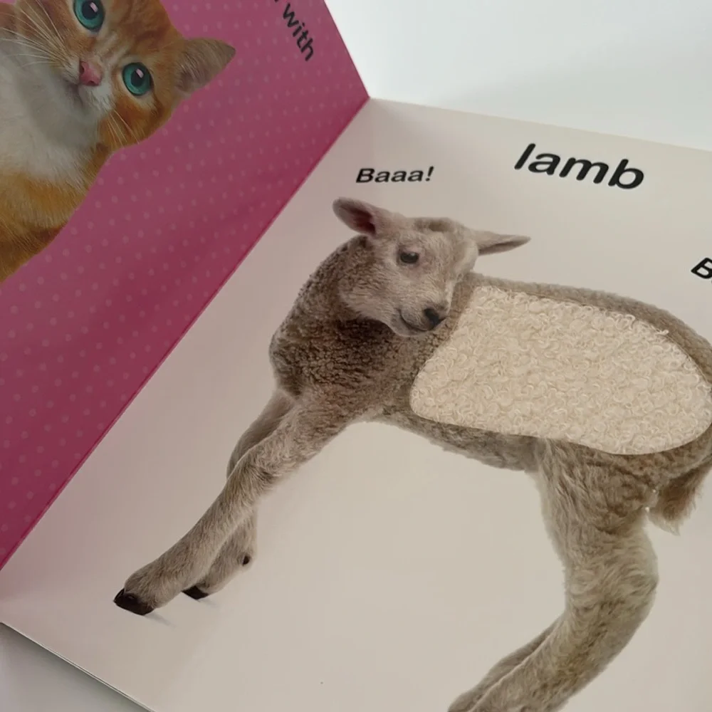 Series Books by Vision St. Publishing Adorable Animals  and Sea Animals